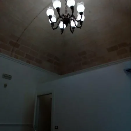 Opuntia * Pulsano